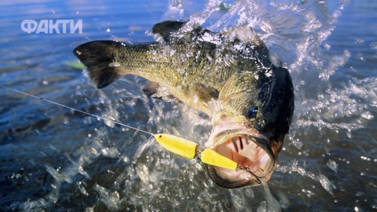 Календар рибалки на травень 2026