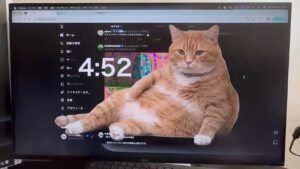 кіт проти соцмереж