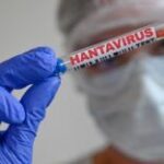 Зростання випадків Хантавірусу: попередження ВООЗ