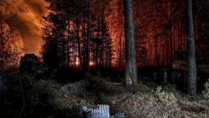 Пожежа у зоні відчуження