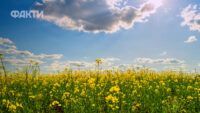 Погода в Украине на 10 дней: что прогнозируют синоптики с 16.05 до 24.05.2026