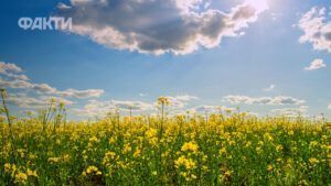Погода в Україні на 10 днів: що прогнозують синоптики з 16.05 до 24.05.2026