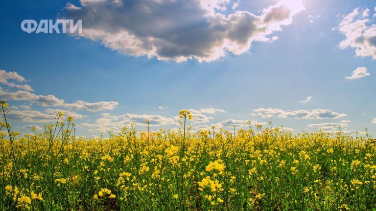 Погода в Україні на 10 днів: що прогнозують синоптики з 16.05 до 24.05.2026