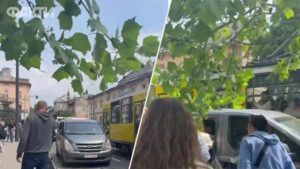 Во Львове толпа напала на автомобиль ТЦК 19 мая 2026 года