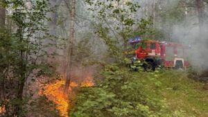 Пожежа Чернігівській області 26 травня: що відомо про наслідки