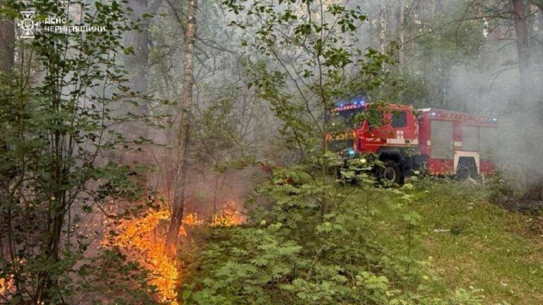 Пожар Черниговской области 26 мая: что известно о последствиях