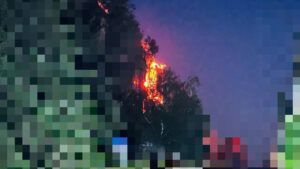 Атака на Запоріжжя: зафіксовано щонайменше 20 ударів, пошкоджено промисловий об’єкт Атака на Запоріжжя 2 червня 2026 року: наслідки