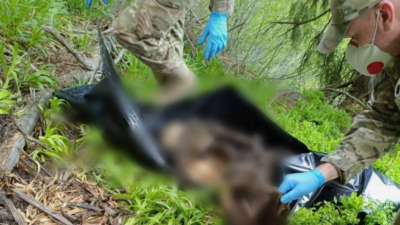 У горах біля кордону з Румунією знайшли тіло загиблого чолов