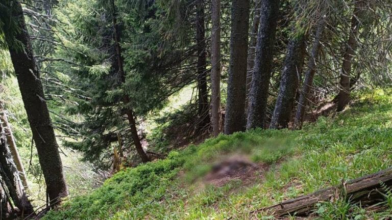 Тіло загиблого чоловіка поблизу румунського кордону