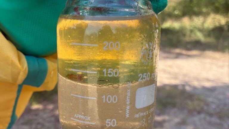 Масова загибель риби у водоймах зафіксована на Київщині