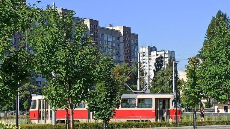 Вишневе на карті Київської області