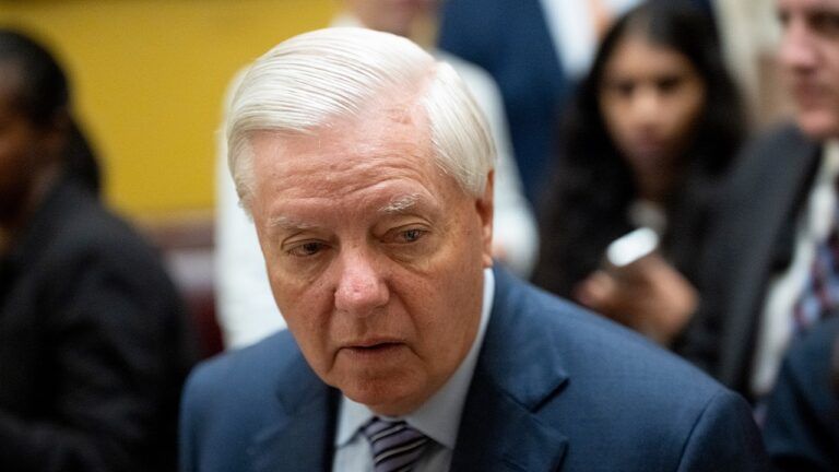 Lindsey Graham, Ліндсі Грем