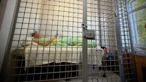 Удар РФ під час демонстрації засобів ППО на Київщині: затримано організатора заходу Удар по Київщині 24 липня: затримали головного організатора заходу