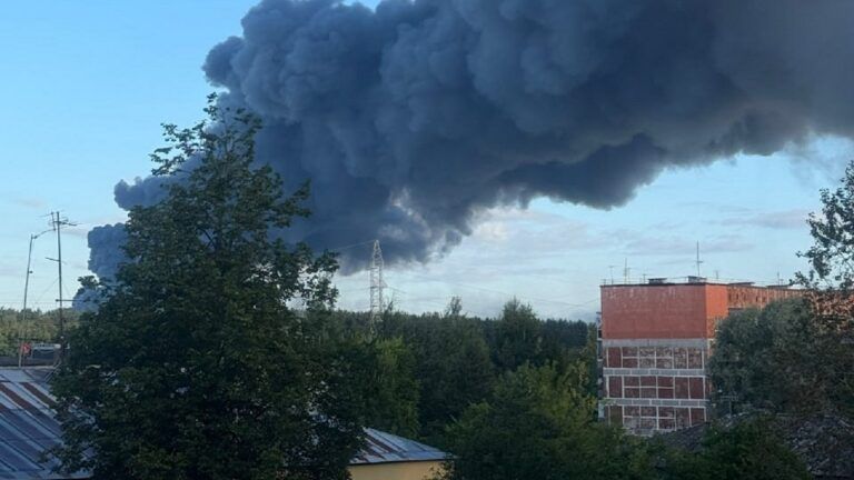Дрони атакували район логістичного хабу Wildberries у Ленінградській області РФ