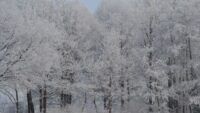 погода взимку