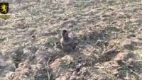 уламки ракети в Молдові