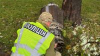 Атака на Киев: в Дарницком районе обезвредили боевую часть баллистической ракеты 24 сентября 2026 года