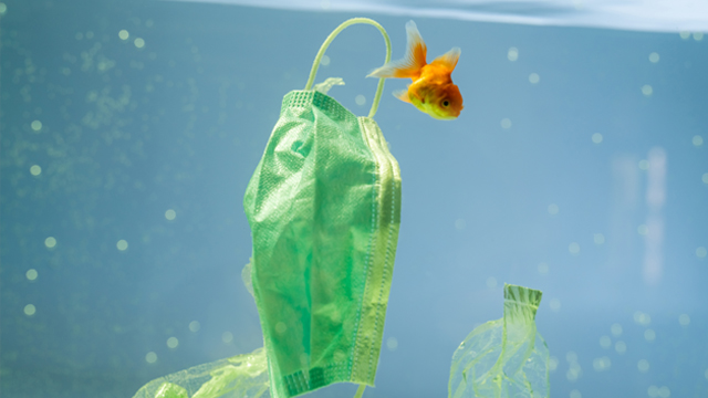 Шкода довкіллю від боротьби з пандемією: у ВООЗ розповіли, скільки масок та рукавичок перетворилось на медвідходи