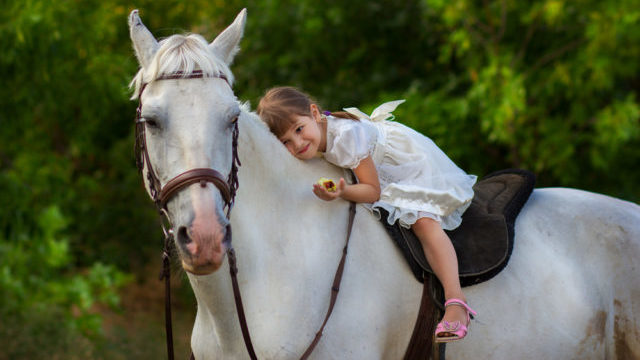 Реабилитация с помощью лошадей: на Ровенщине планируют создать центр иппотерапии іппотерапія