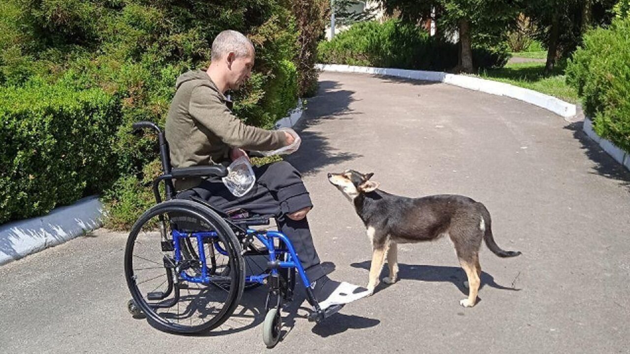 поранений у візку
