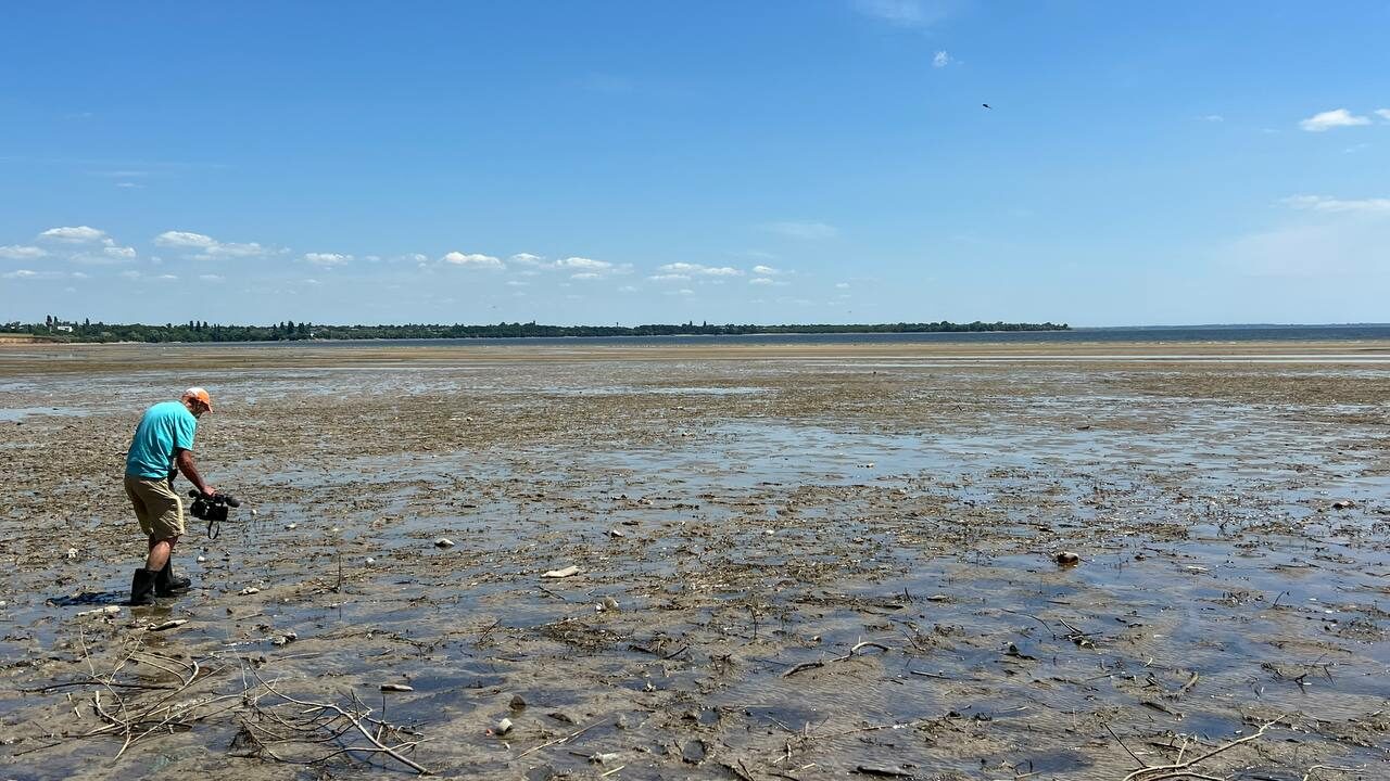 дно моря, мертва риба