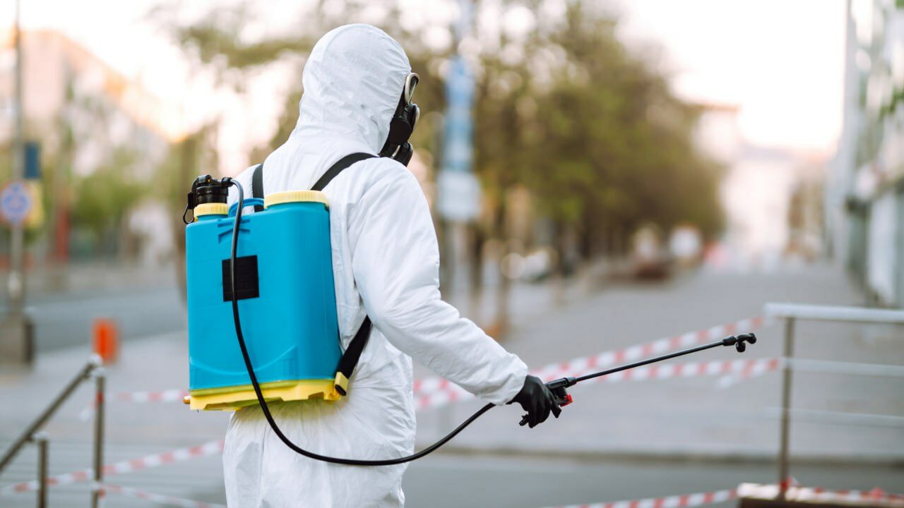 Ученые предостерегают, болезни, переходящие от животного к человеку и наоборот, могут разрушить мир коронавірус