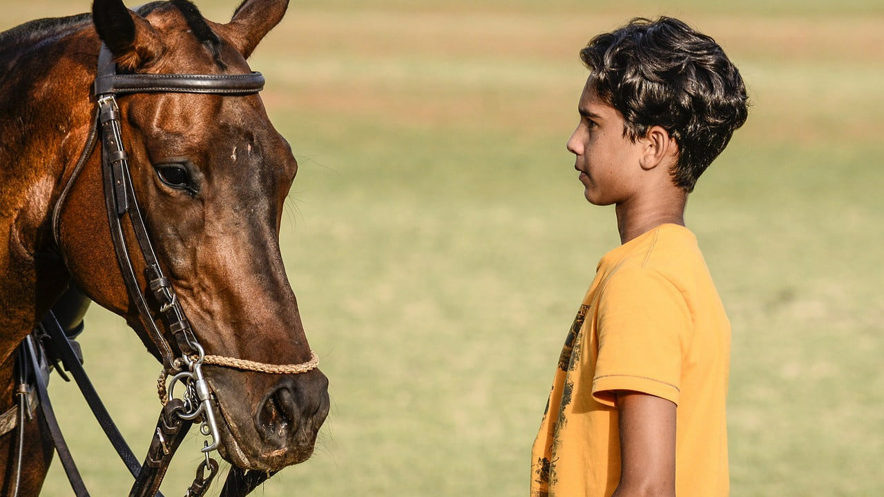 кінь і хлопчик