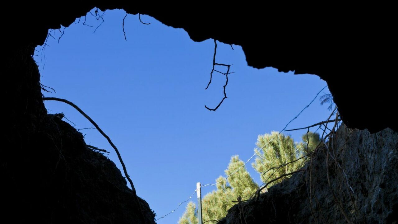 в Індії чоловік загинув в норі дикобраза