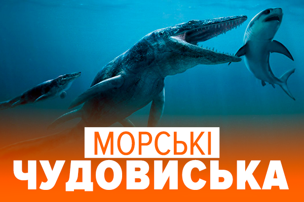 Монстры существуют? 5 чудо-существ, найденных на берегах мира