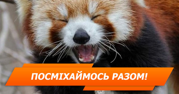 10 фото, які змусять вас сміятися