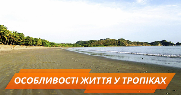 Коста Рика: обезьяны-будильники и скорпионы в постели