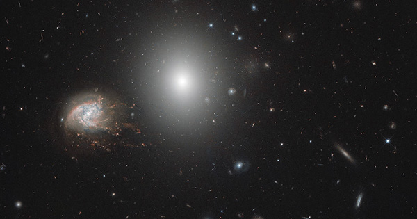 Скопление галактик в Волосах Вероники — новый снимок Hubble