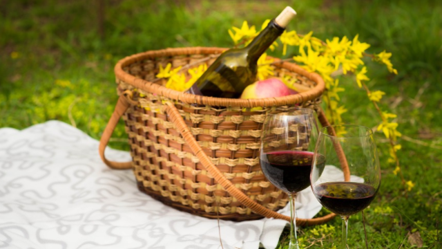 Відпочинок на природі: що варто взяти з собою