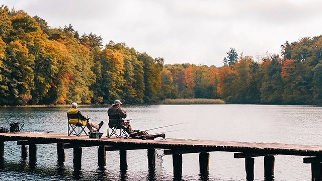 Как выловить и приготовить дунайскую сельдь