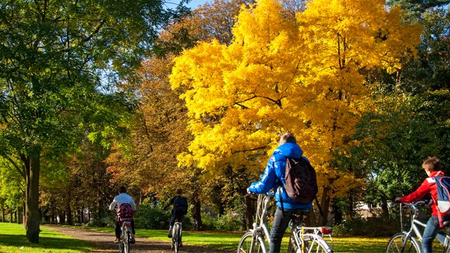 Велосипеды, самокаты и каршеринг. Как обойтись без такси в локдаун