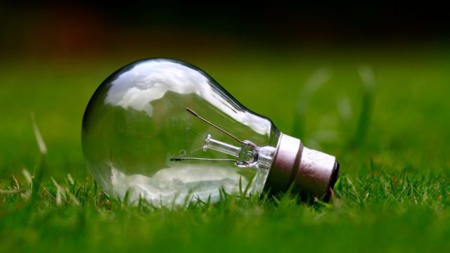 Година Землі 2021: що це та як долучитися