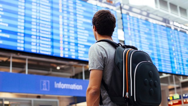 Wizz Air запускає продаж квитків в Україні: коли відновлять польоти