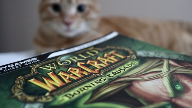 Гравці World of Warcraft влаштували Blizzard бойкот