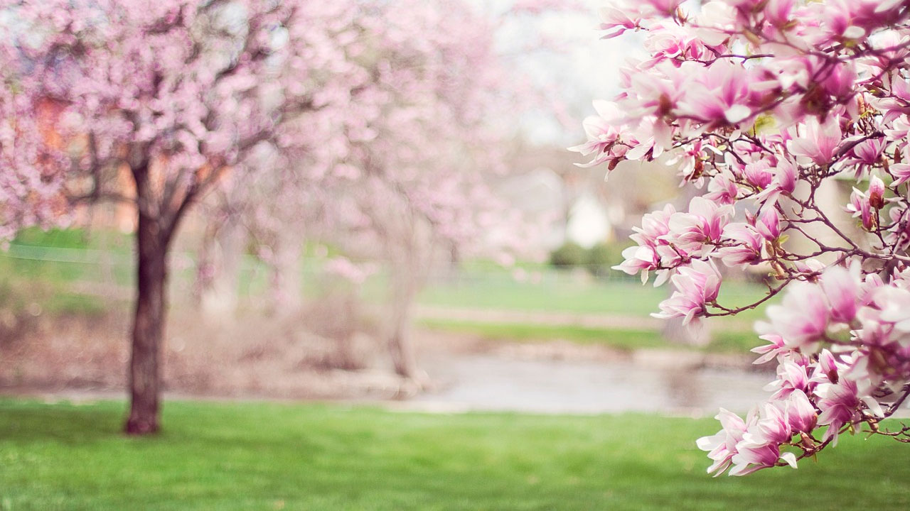 Привітання з першим днем весни