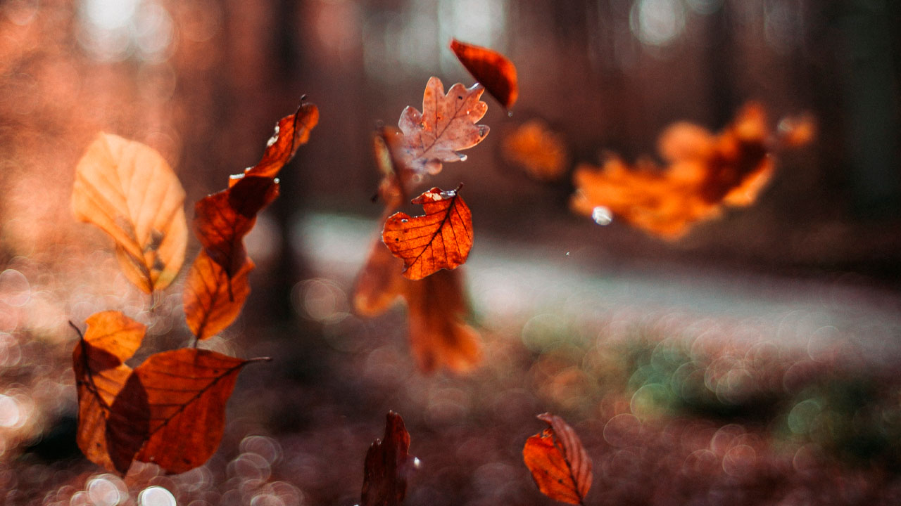 Яке свято 14 жовтня 2023