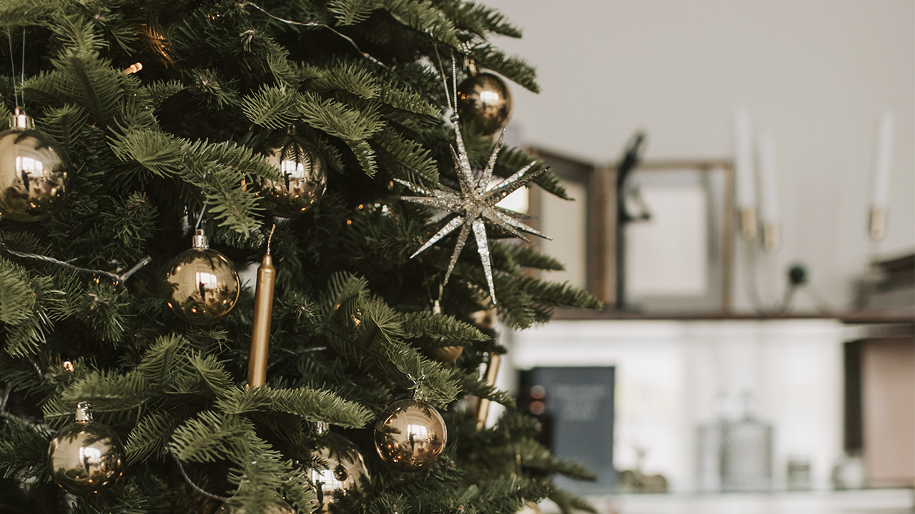 ялинка, Новий рік, Різдво