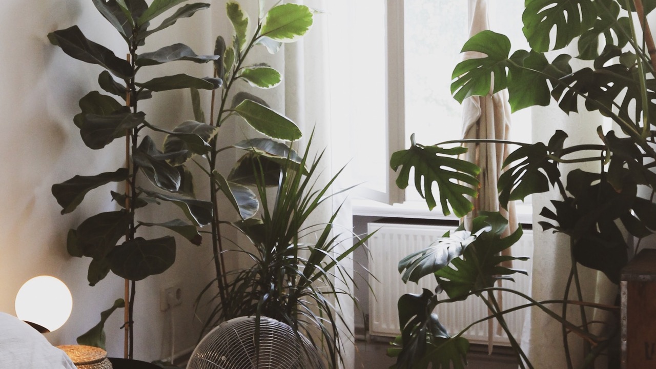 Як спустити повітря з батарей: інструкція