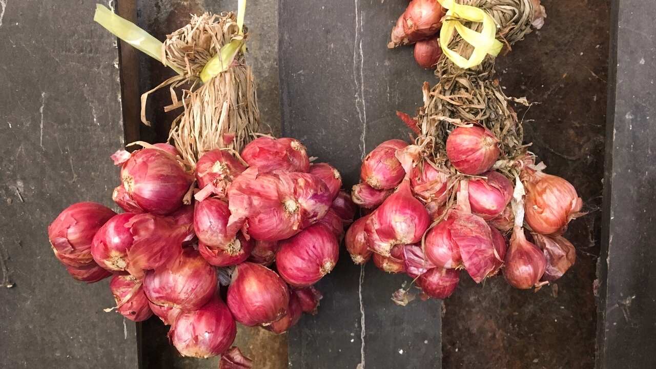 как правильно хранить лук,