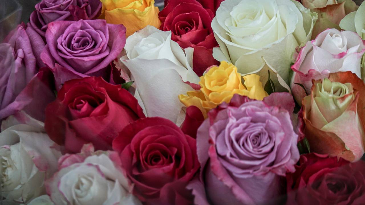 системи обліку для квіткарів